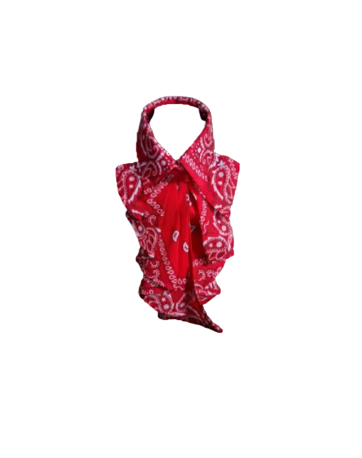 Nœud papillon Jabot Bénin